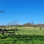Betuwe * Meteren
