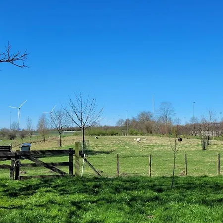 Betuwe * Meteren