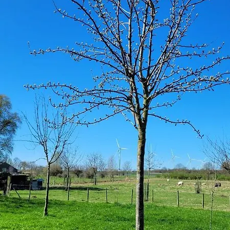 Betuwe Huisje *