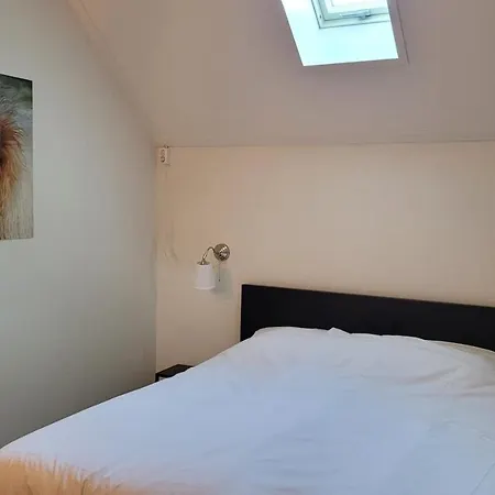 Betuwe Huisje Appartamento