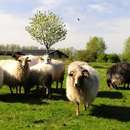 Betuwe Huisje * Meteren